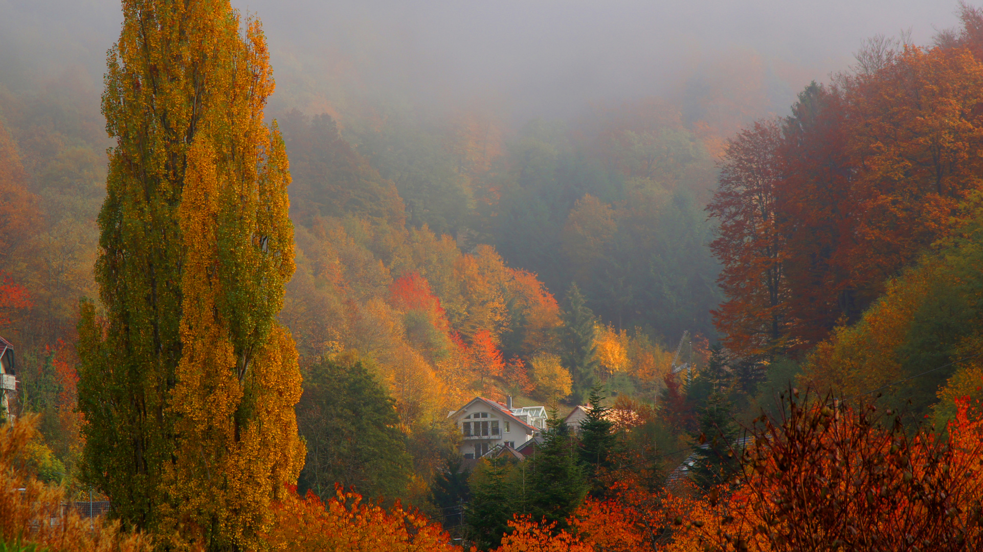 Herbst 