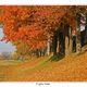 Herbst 9