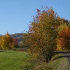 Herbst -9-