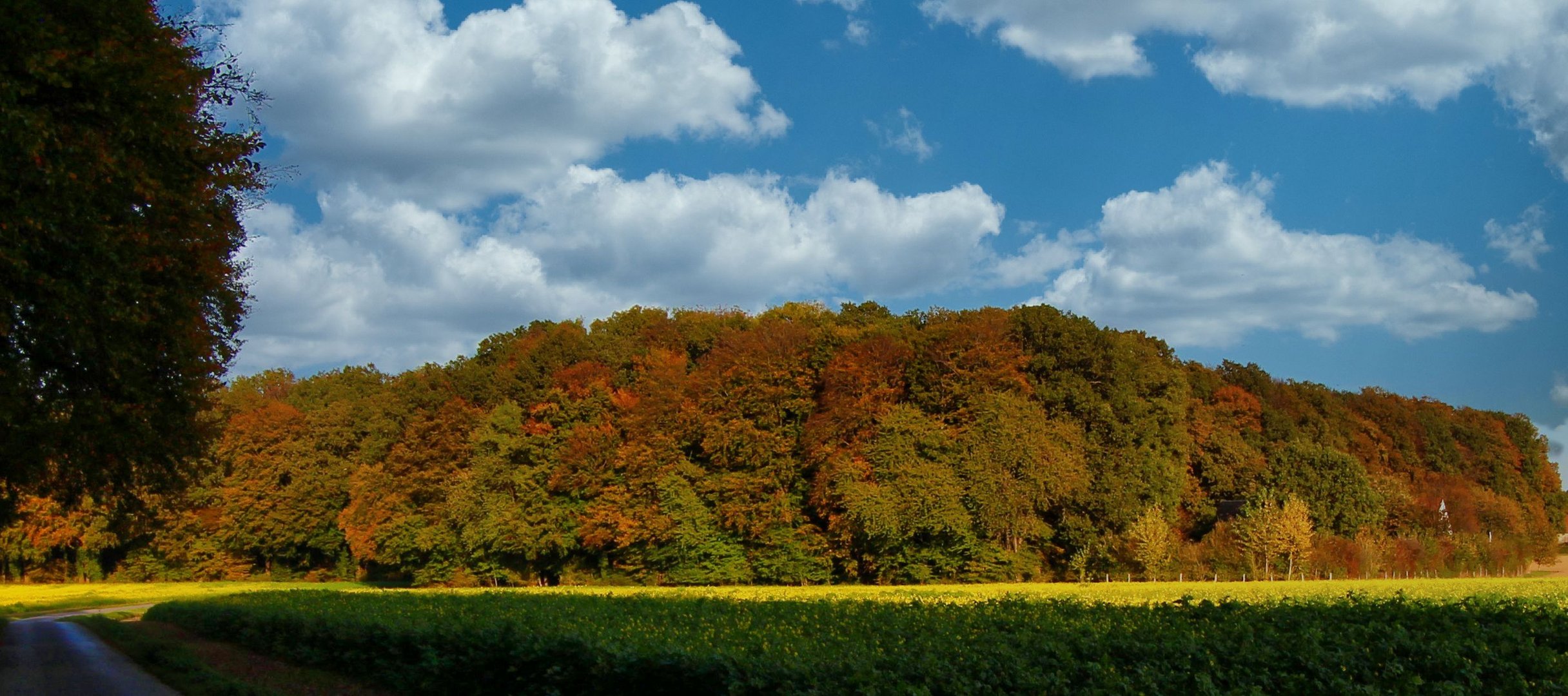 Herbst