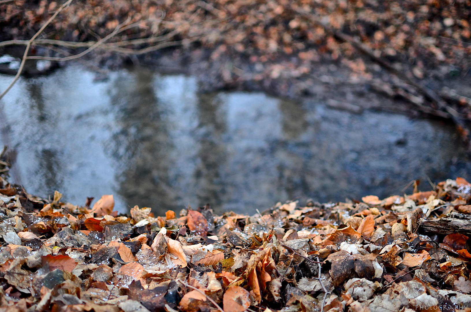 Herbst