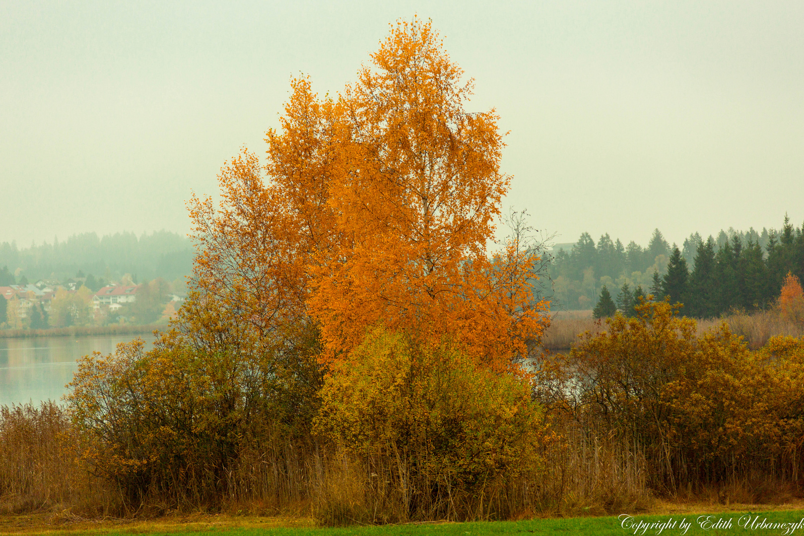 Herbst