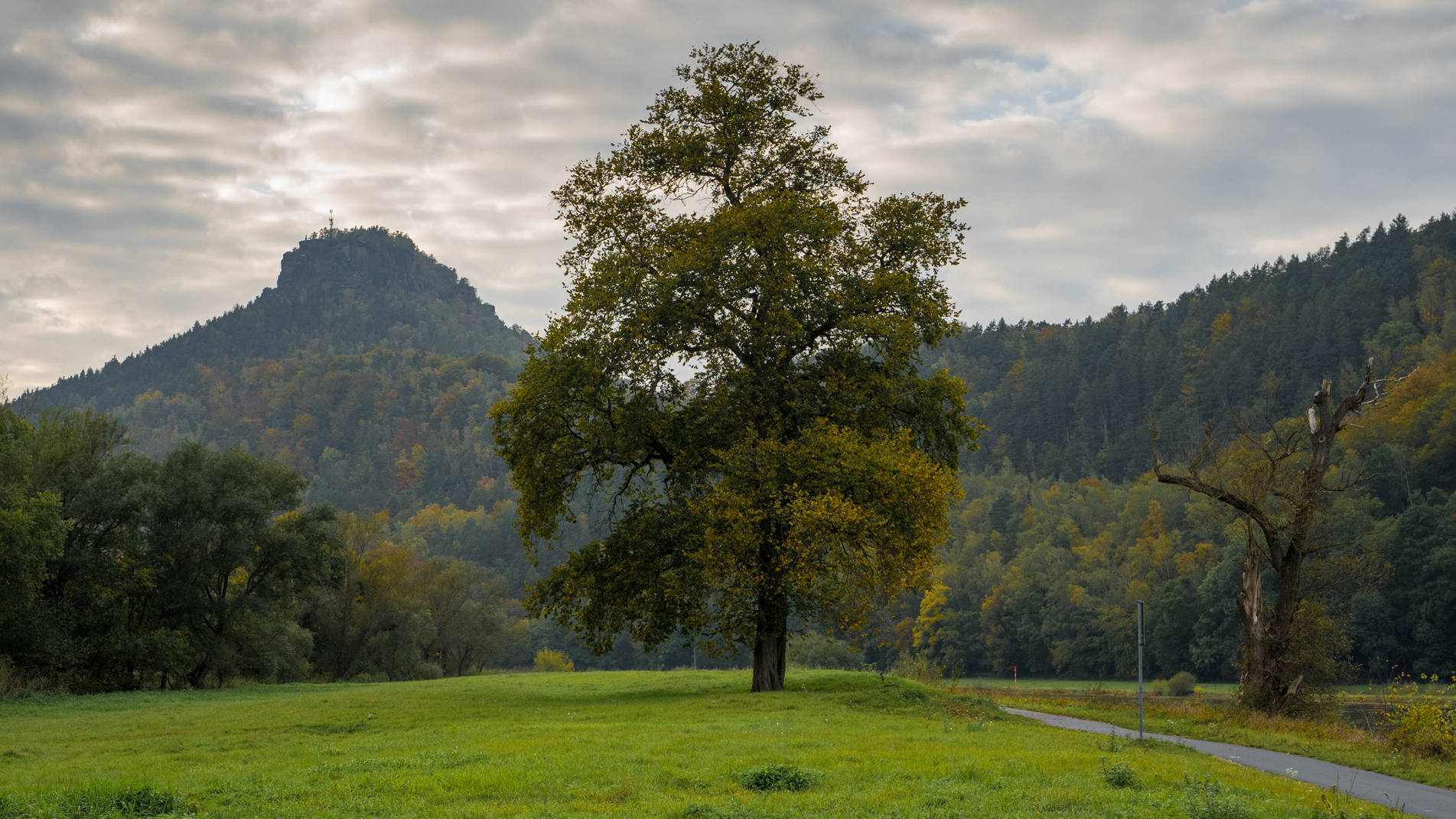 Herbst