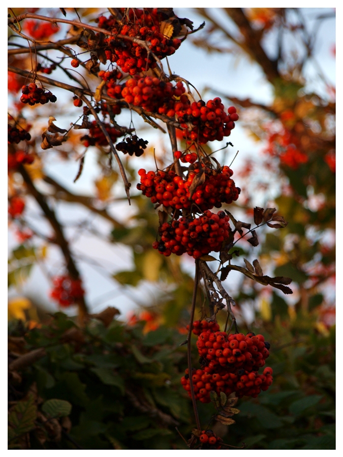 Herbst.