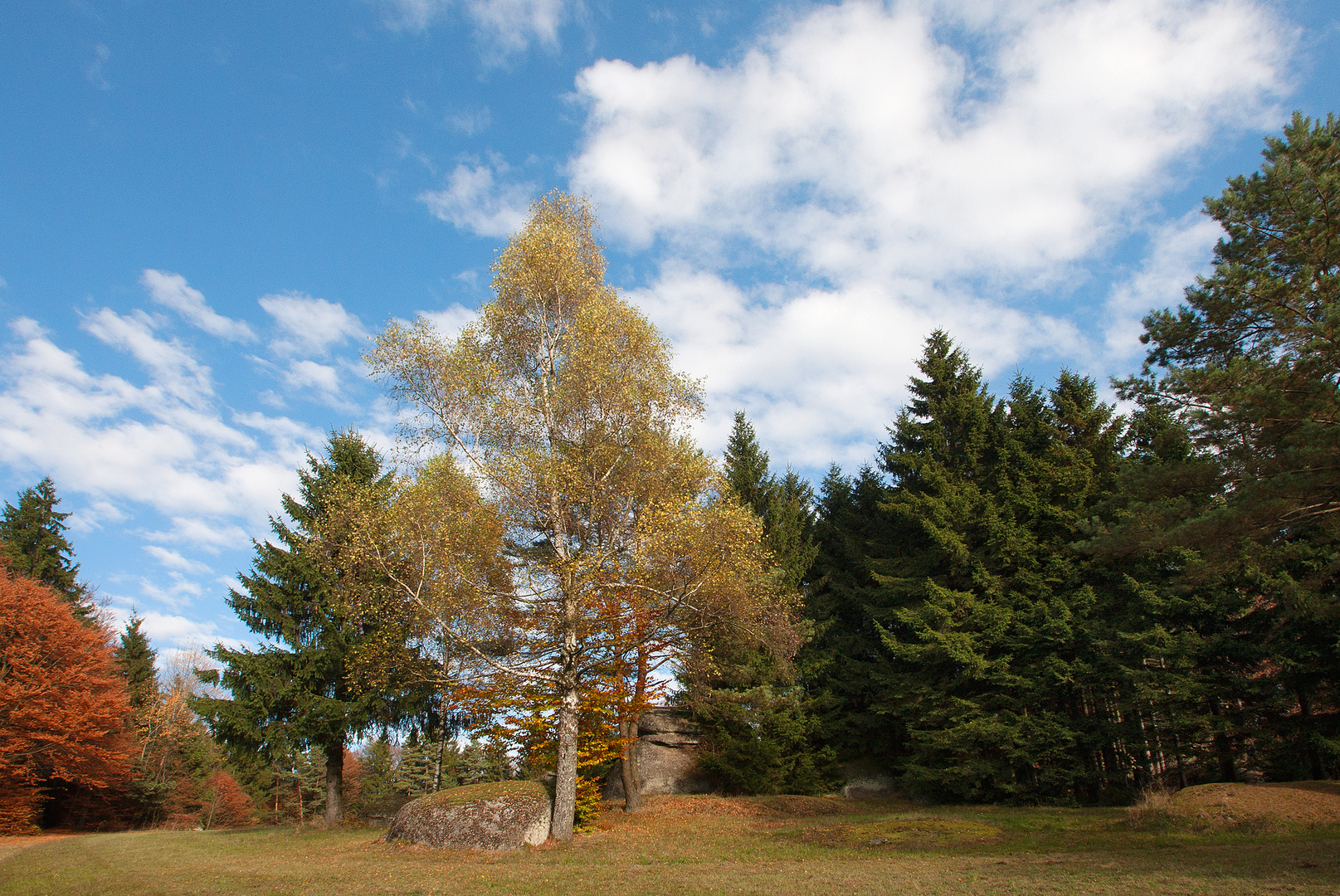 Herbst 