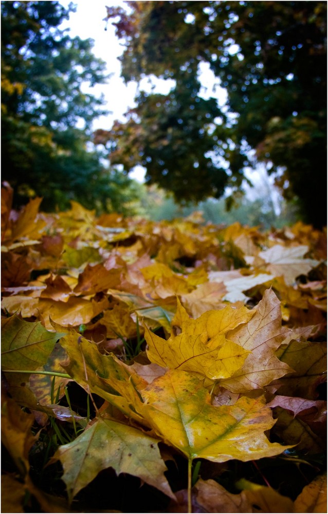 Herbst