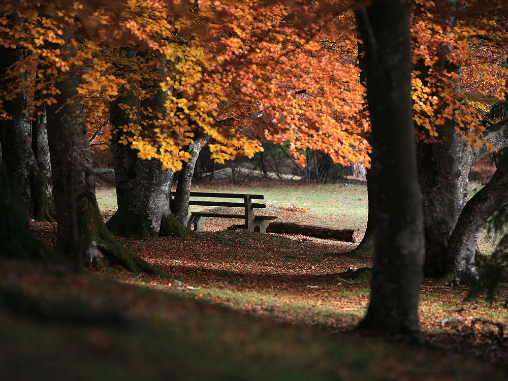 ...Herbst