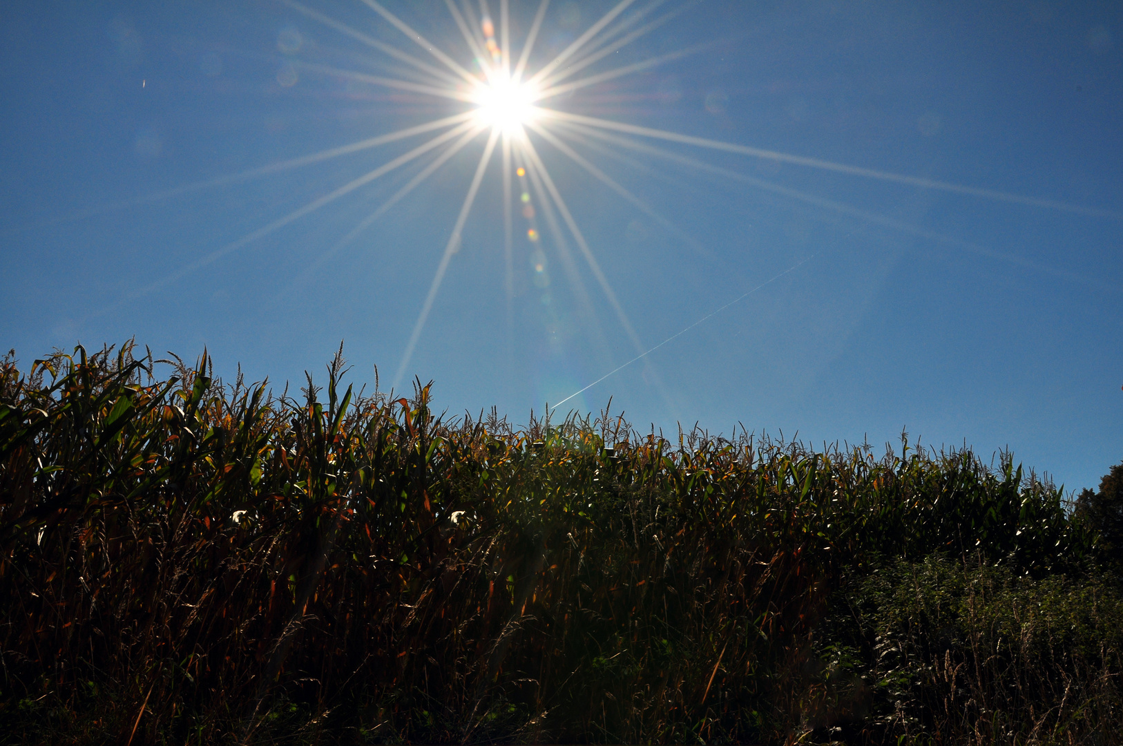 Herbst