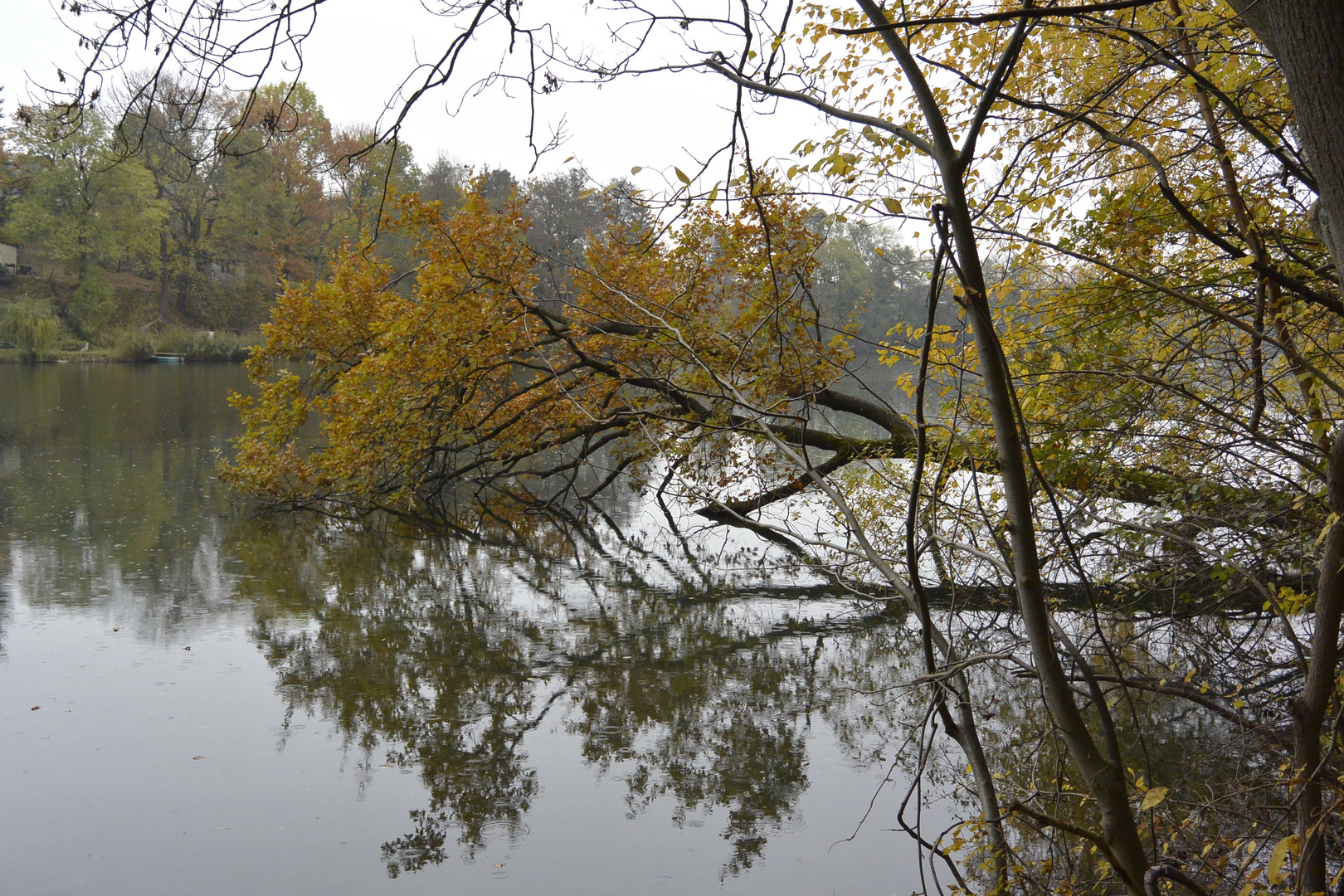 Herbst