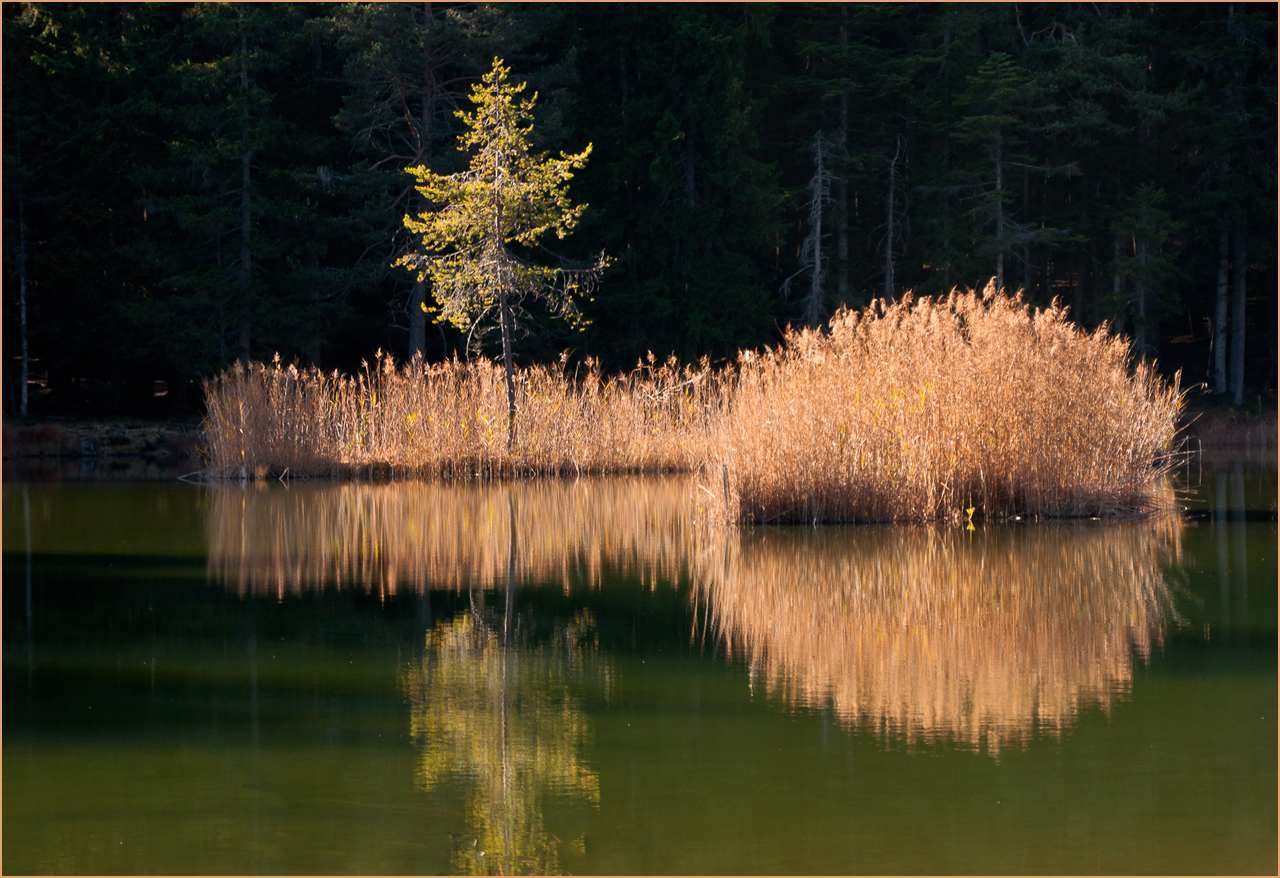 Herbst