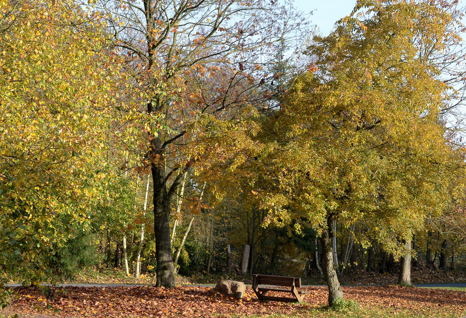 Herbst