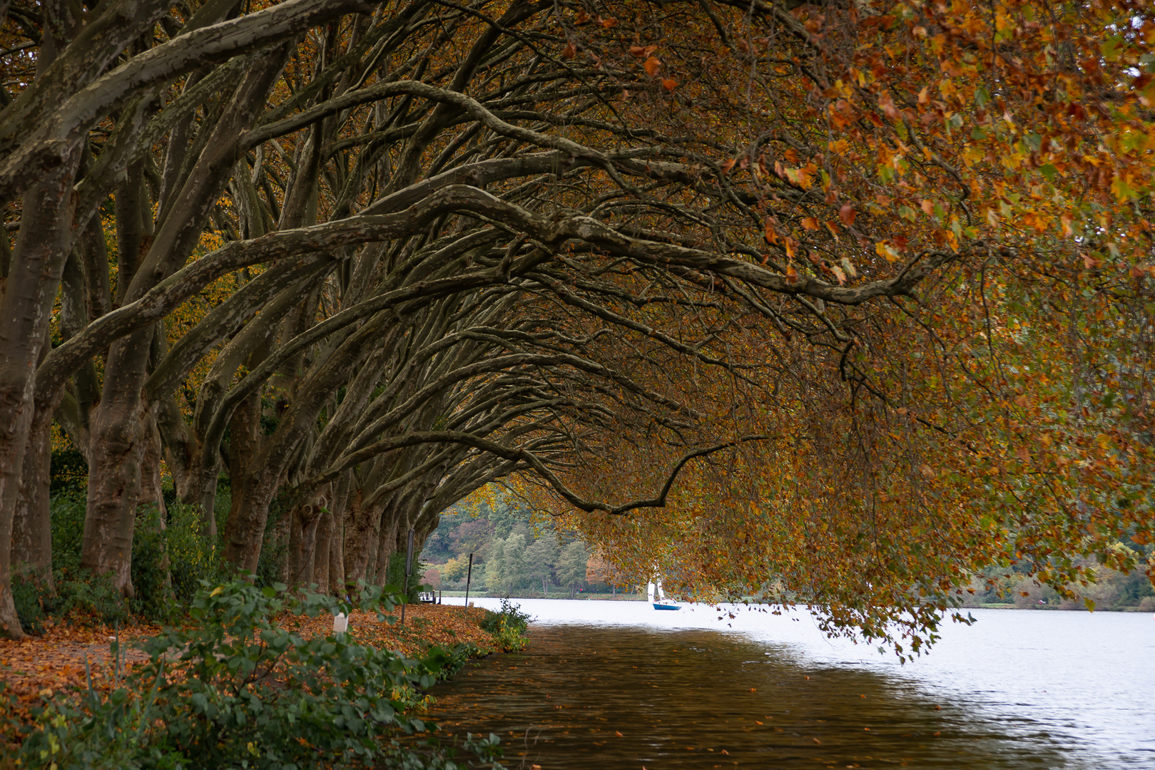 Herbst