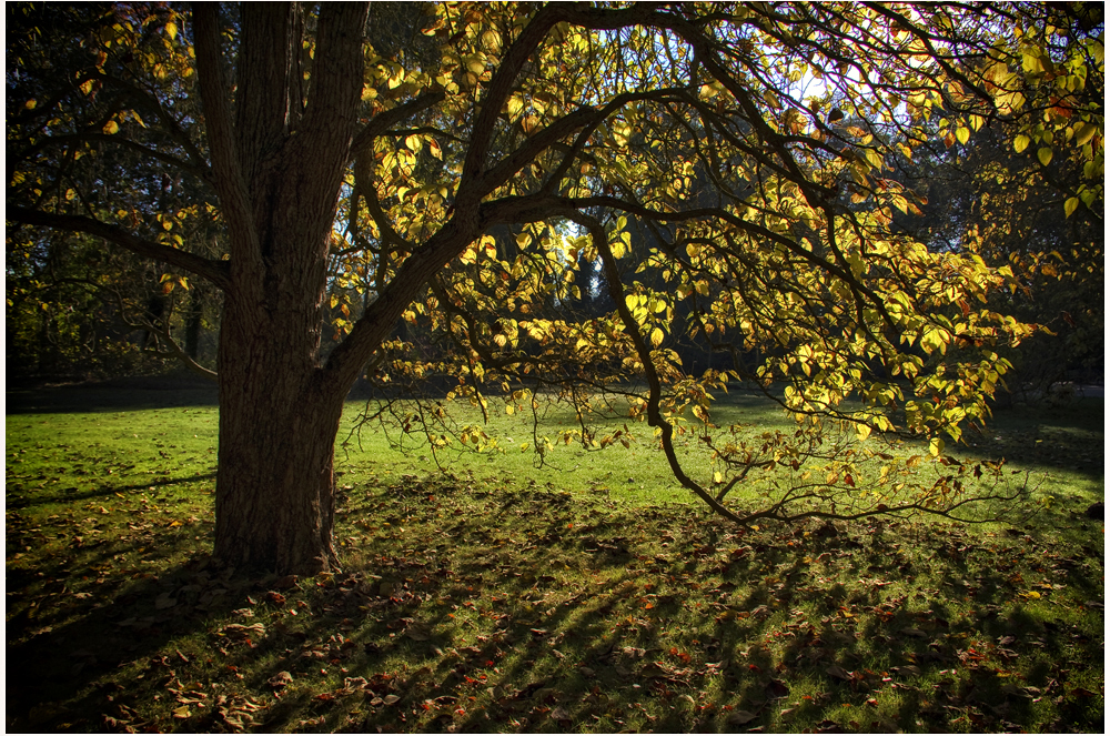 Herbst