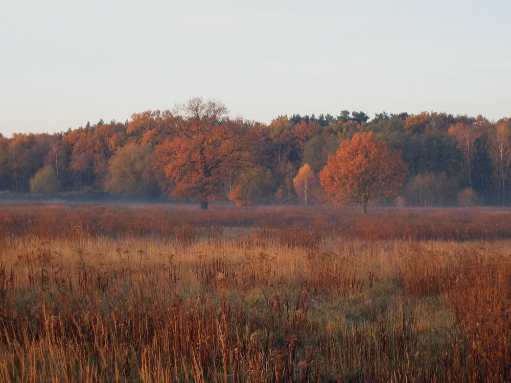 Herbst