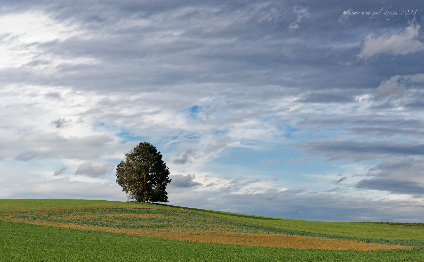 Herbst