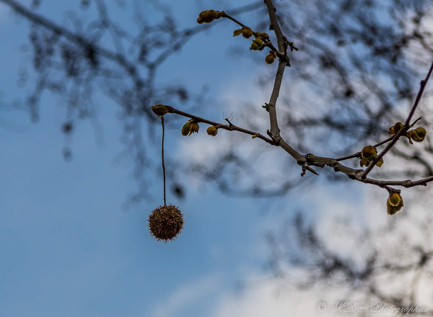 Herbst