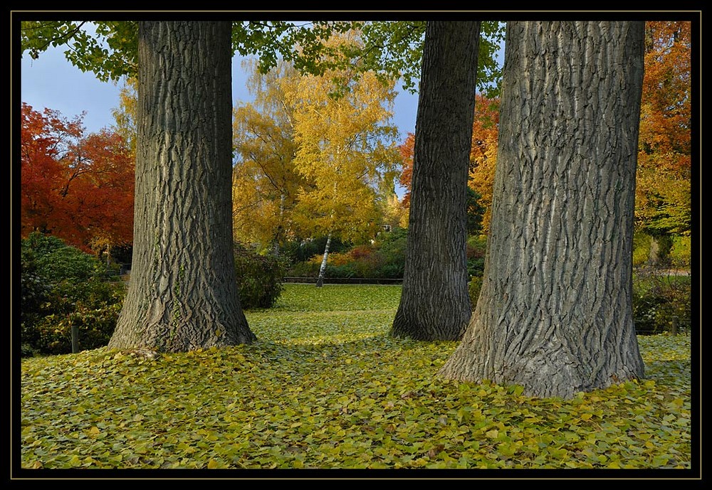 Herbst