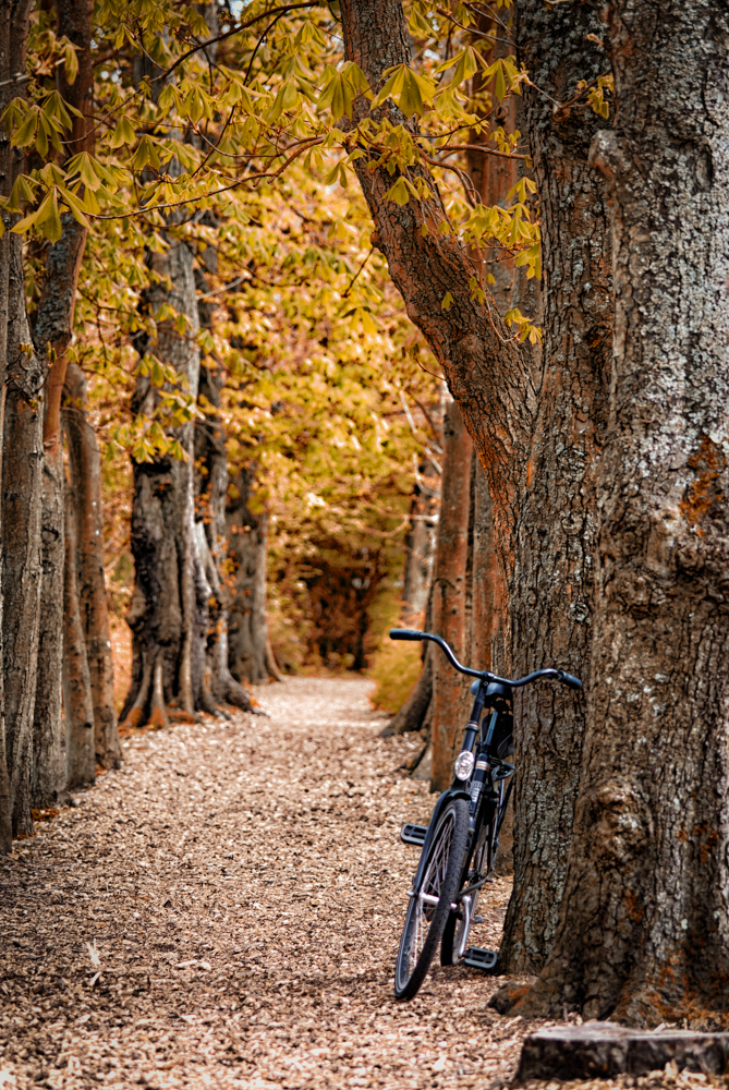 Herbst