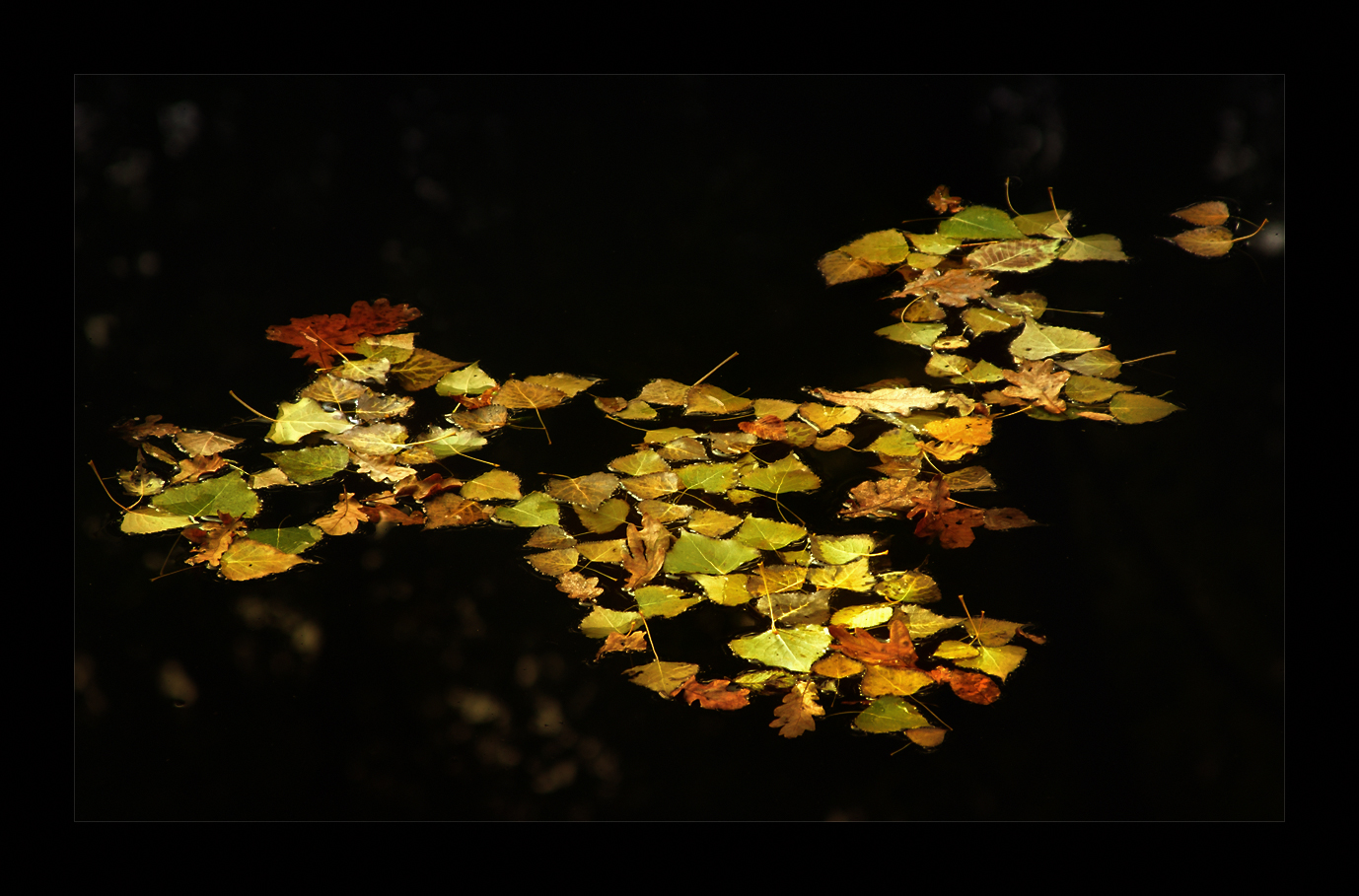 Herbst