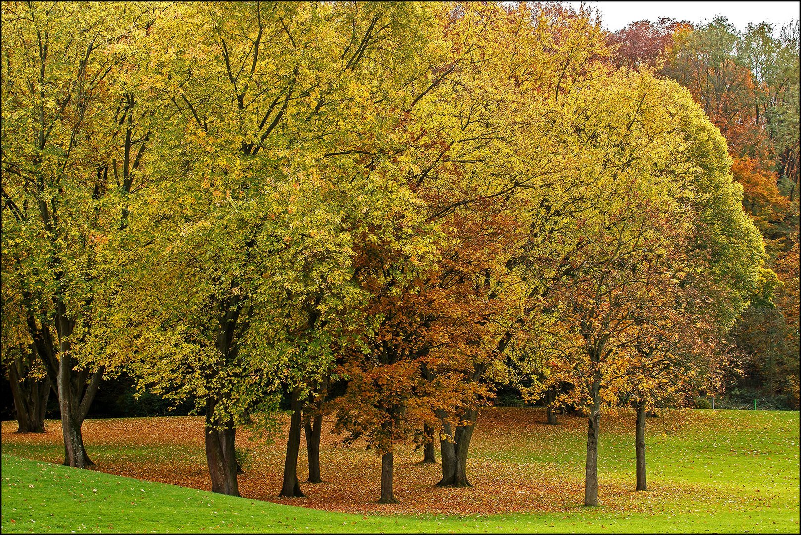 Herbst