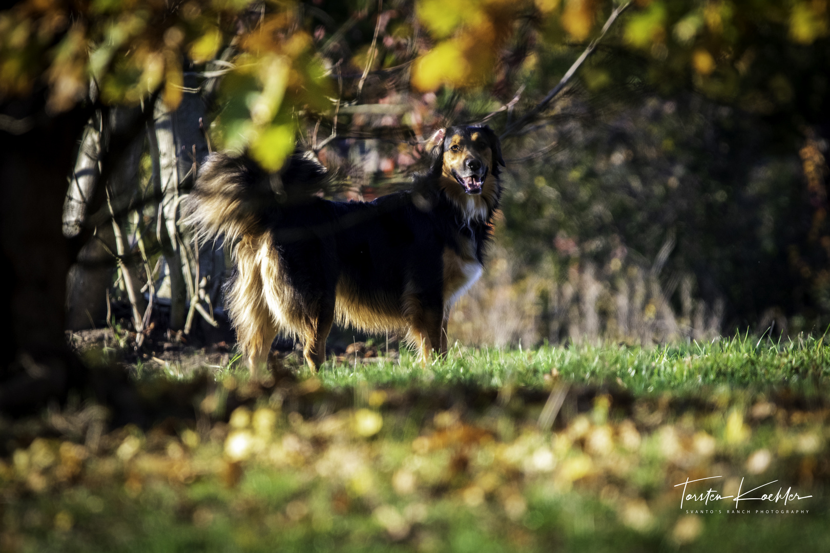 Herbst....