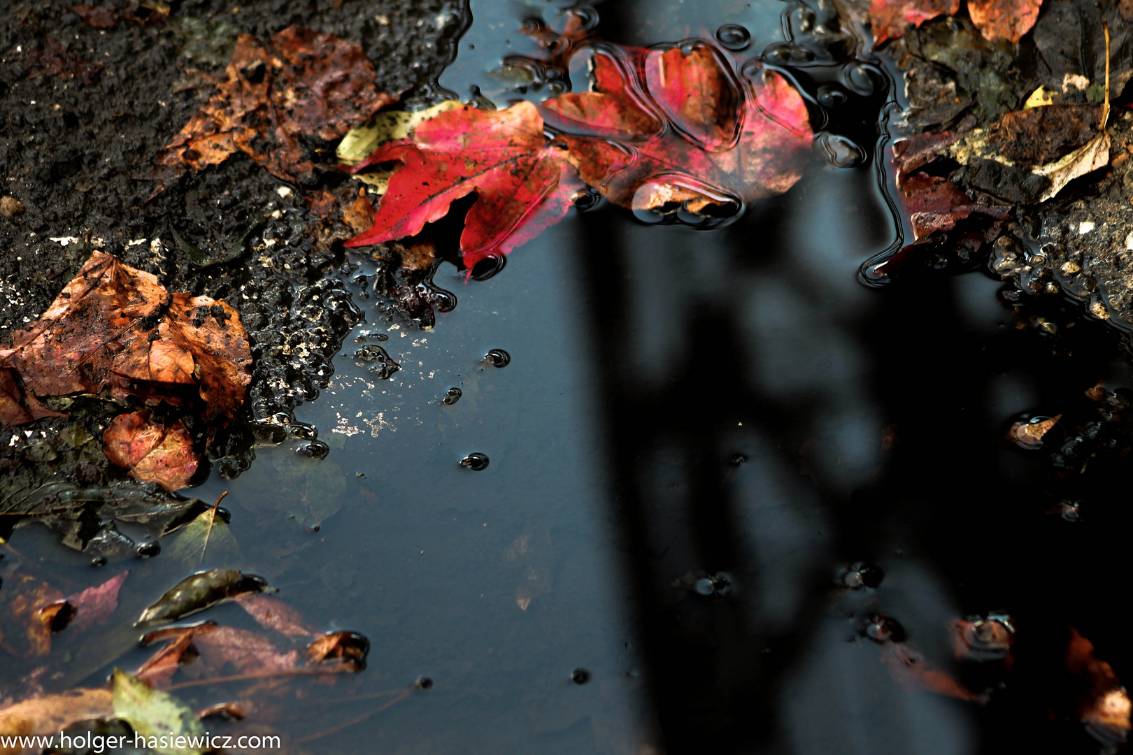 Herbst