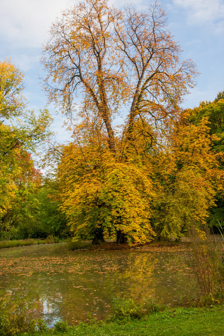 Herbst