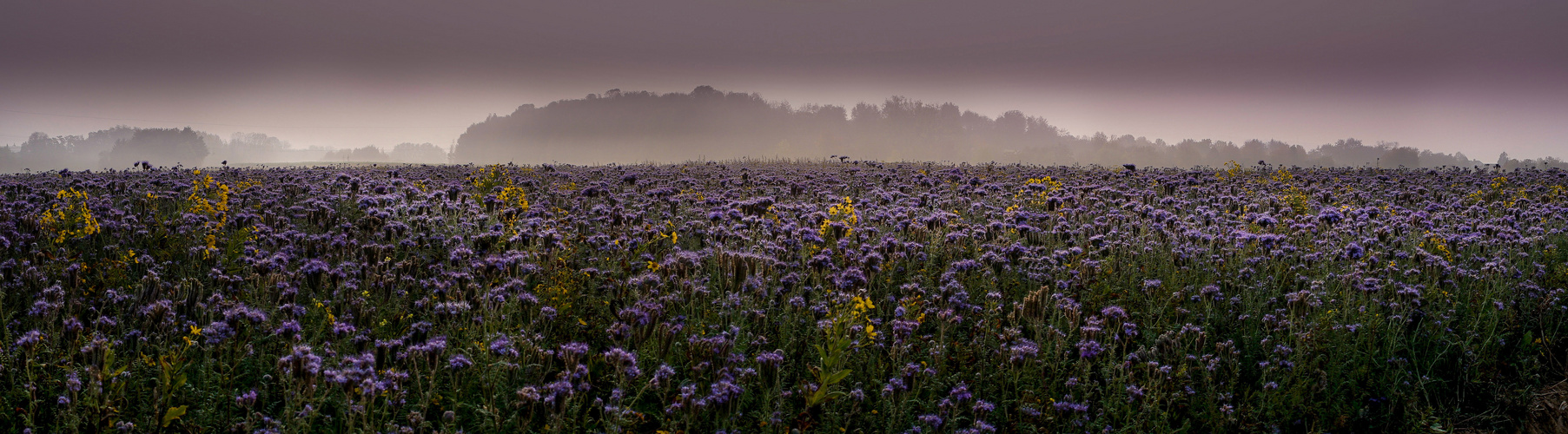 Herbst 