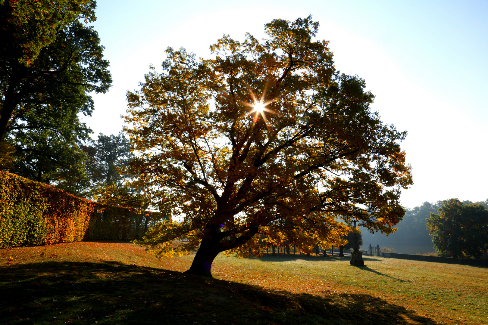 Herbst