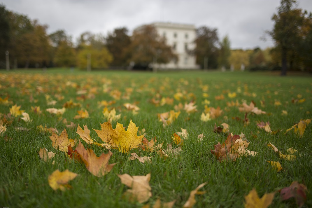 Herbst