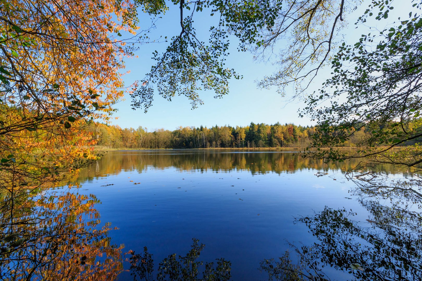 Herbst