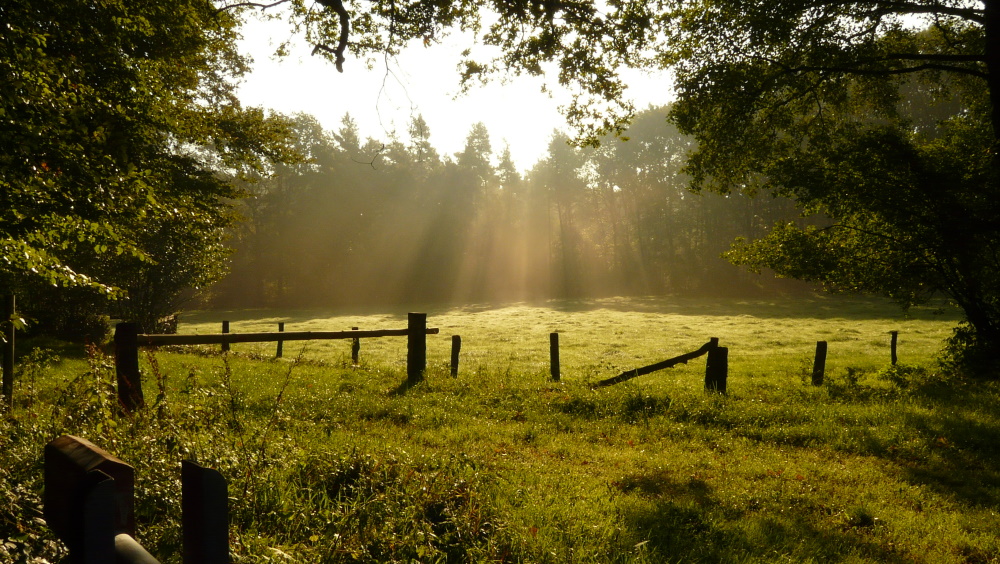 Herbst