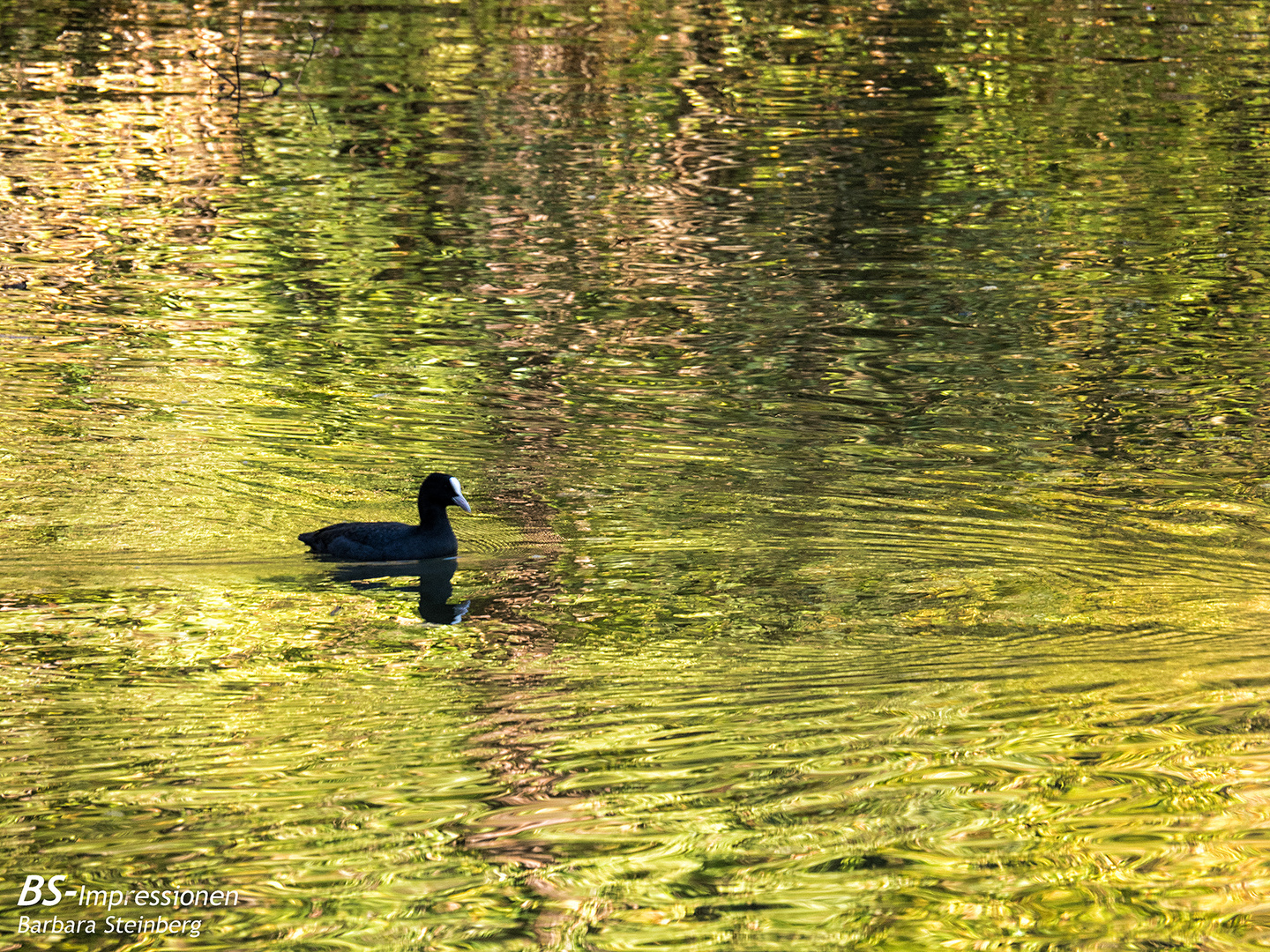 Herbst