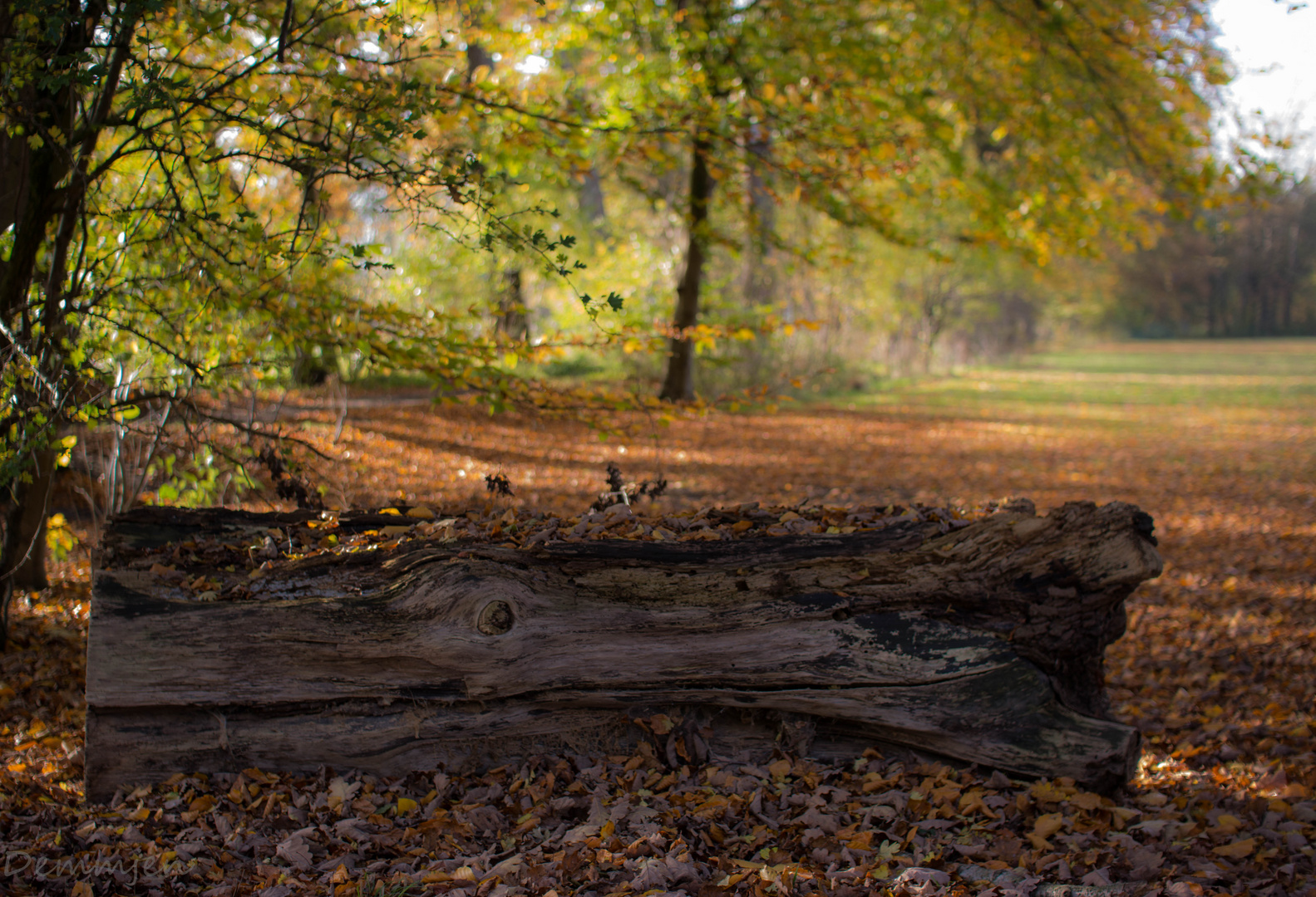 Herbst