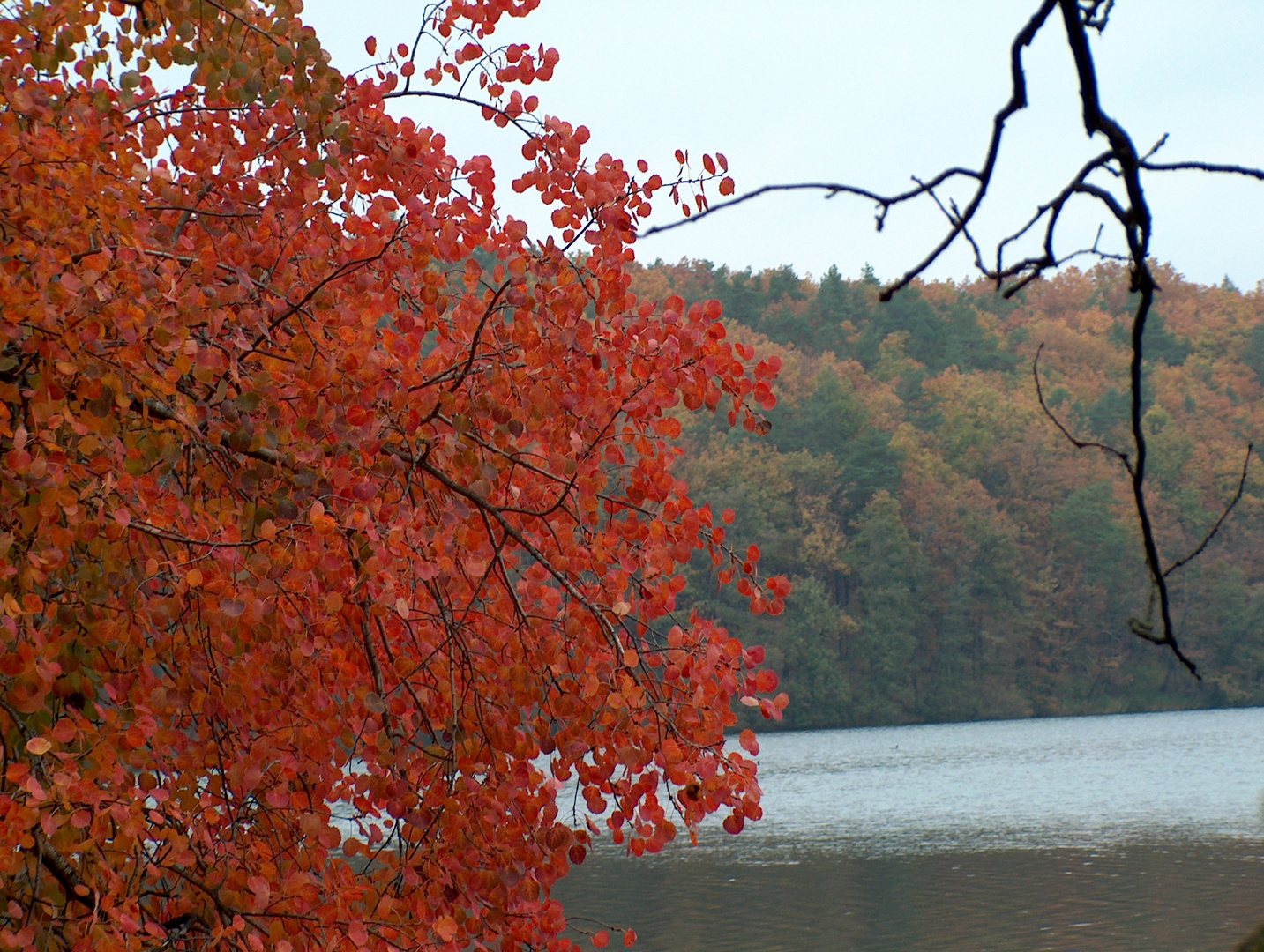 Herbst