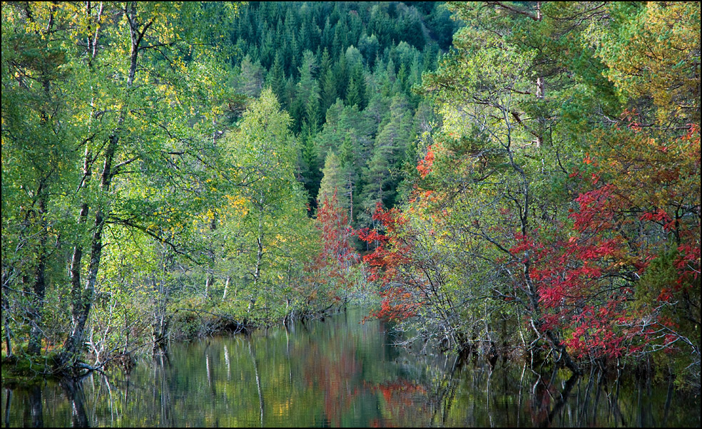 Herbst