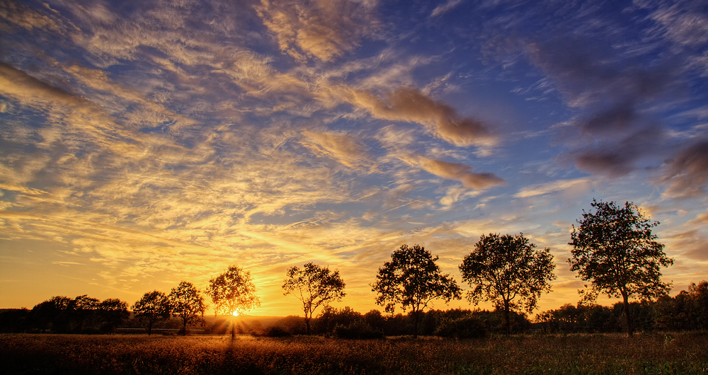 Herbst