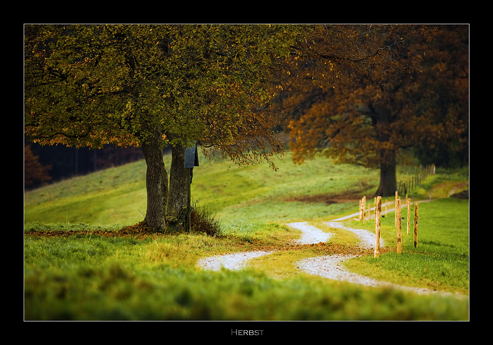 Herbst