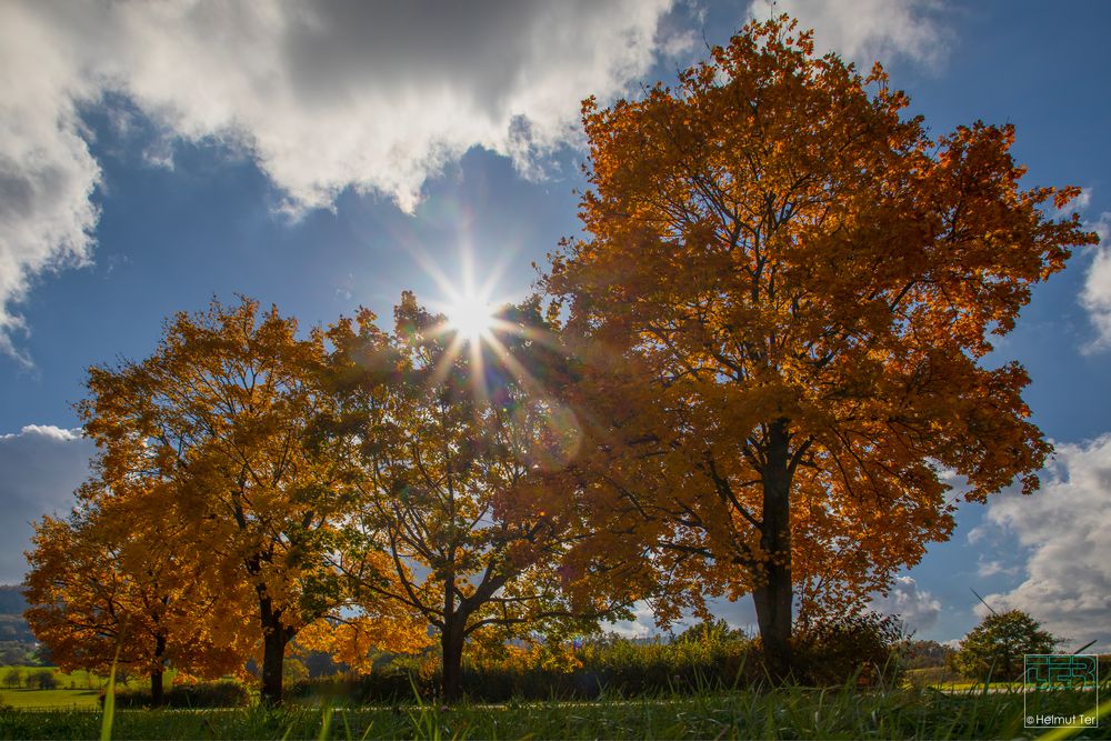 Herbst