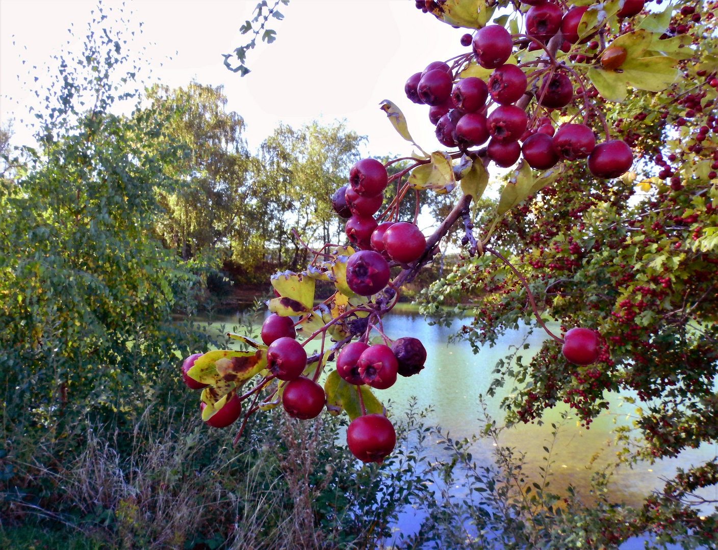 Herbst