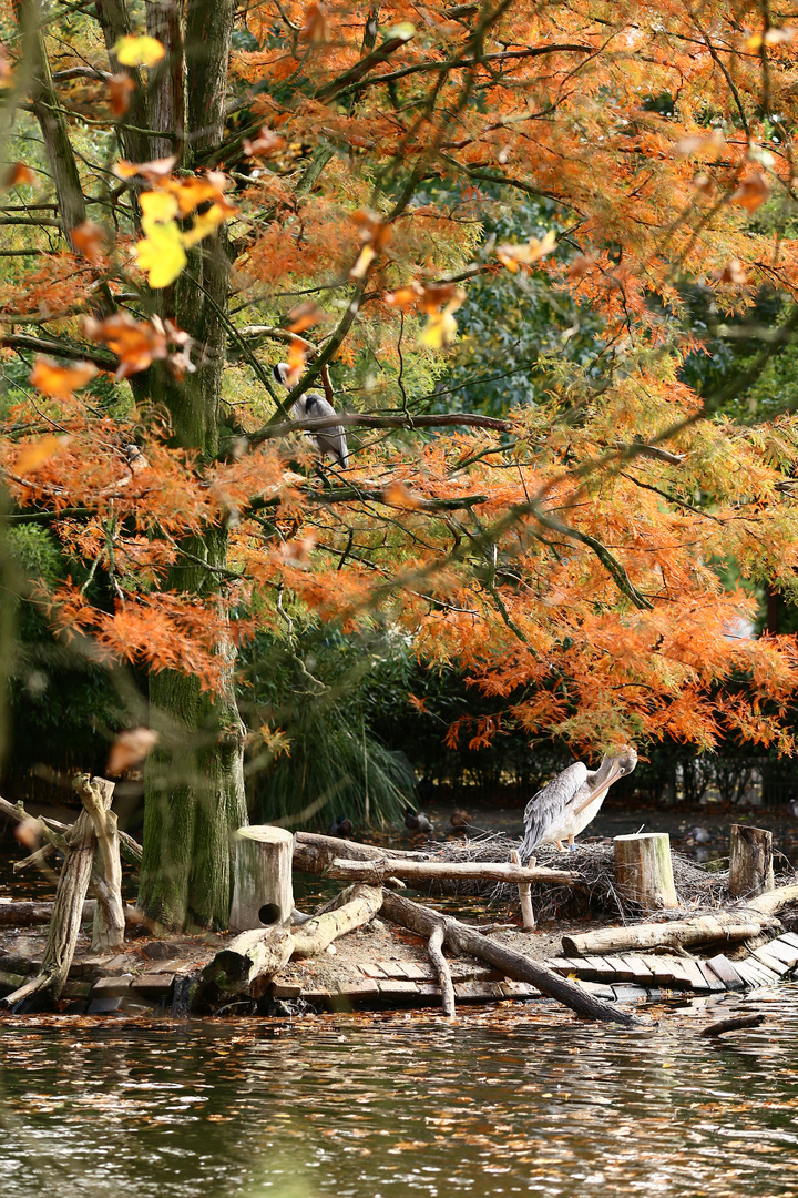 Herbst