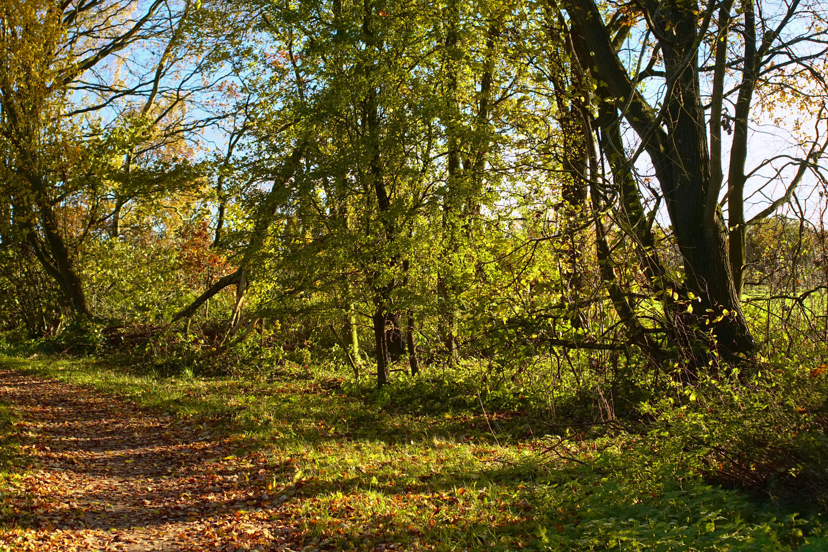 Herbst