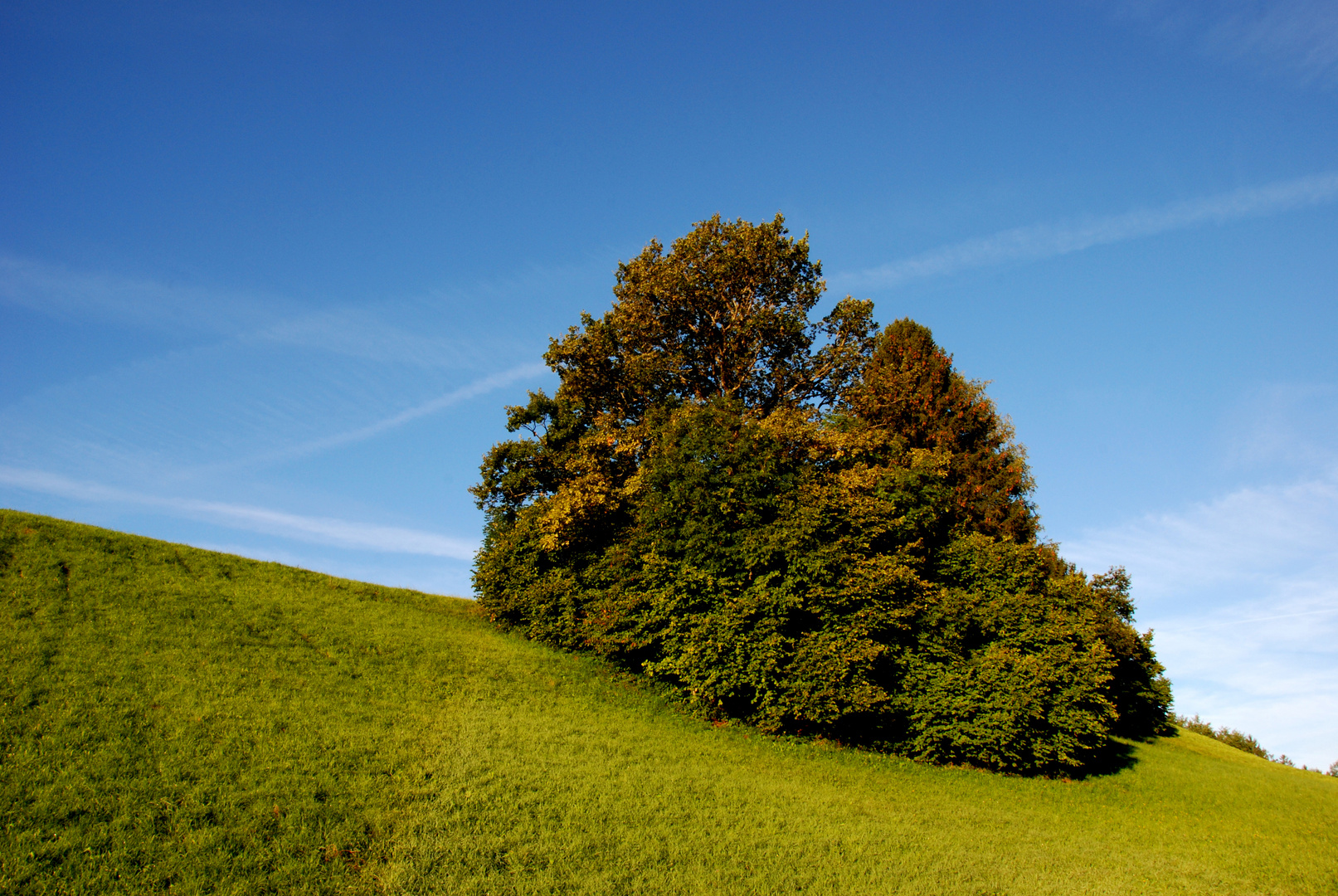 Herbst