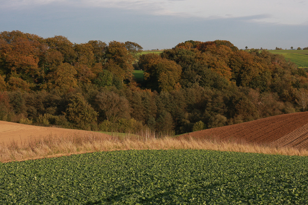 Herbst