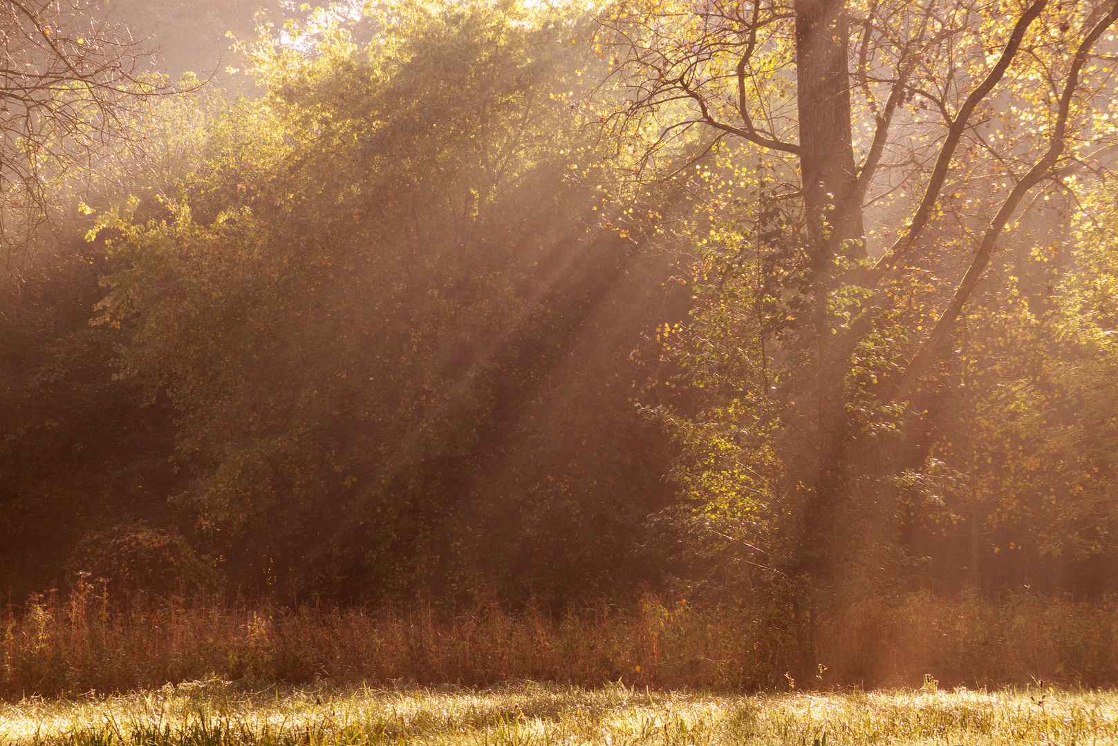 Herbst