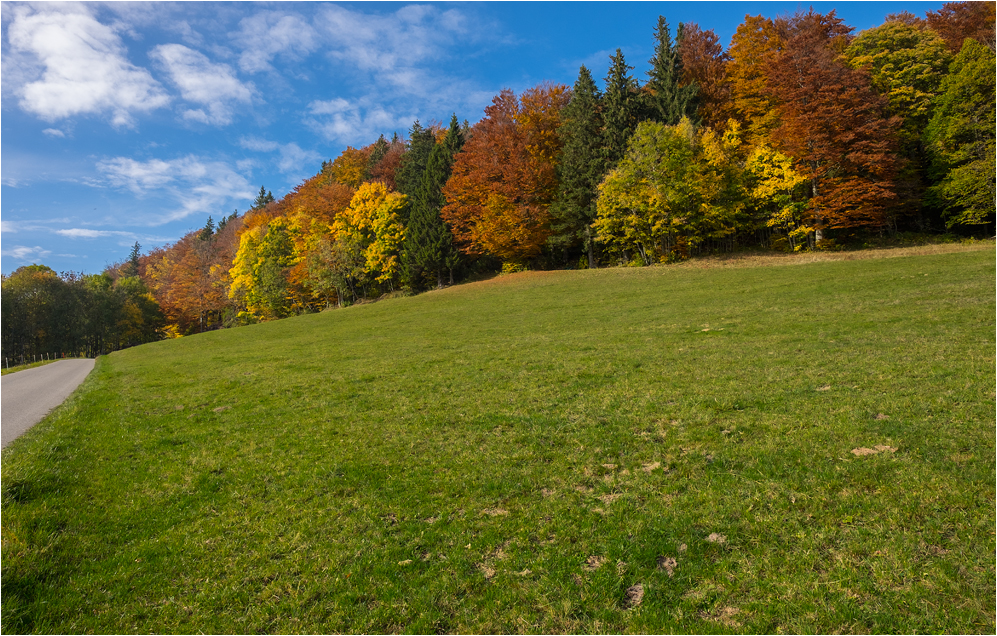 Herbst