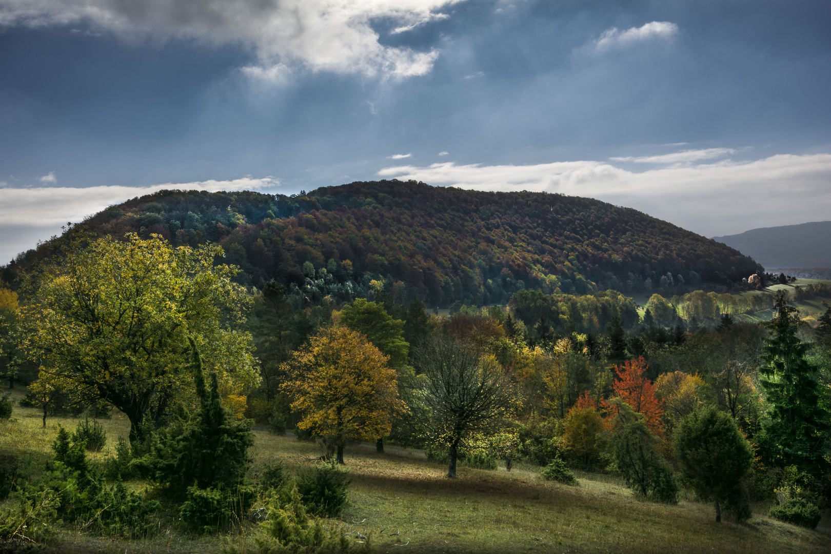 Herbst