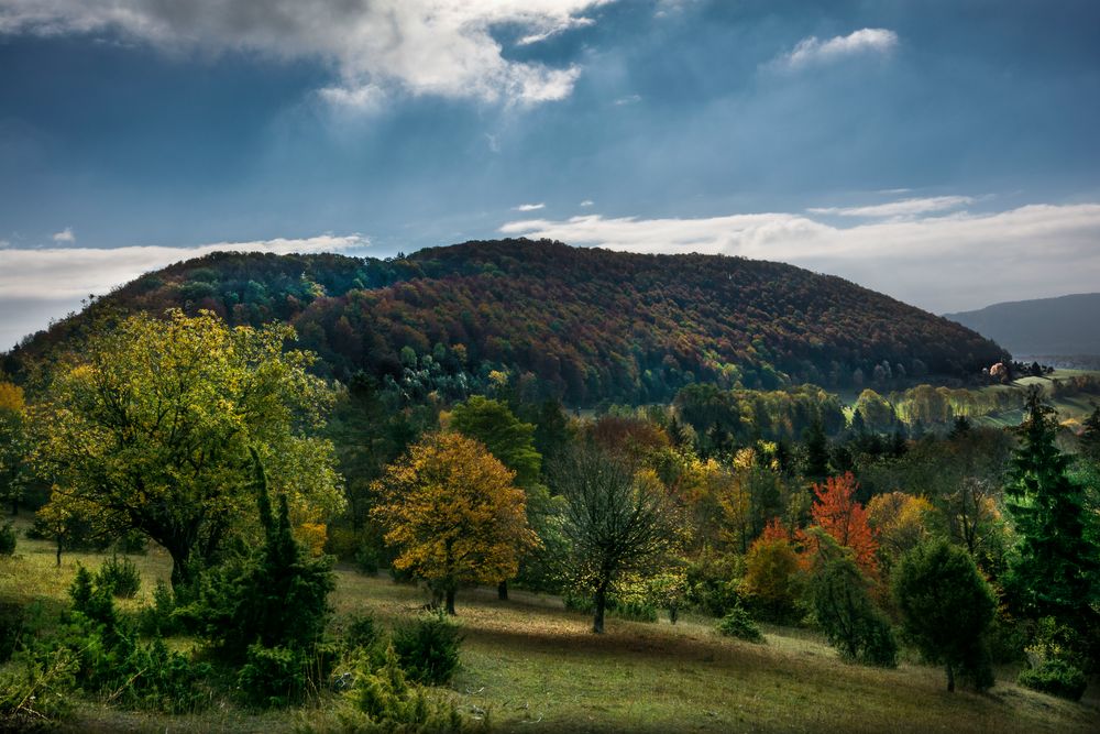 Herbst