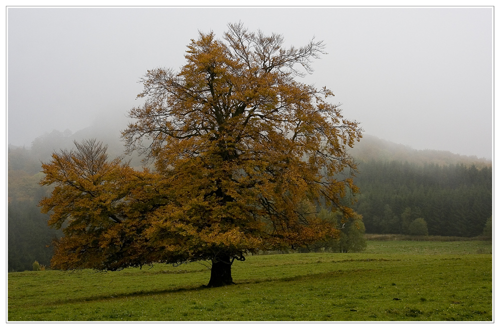 Herbst