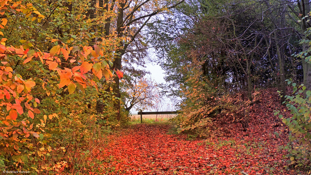 Herbst